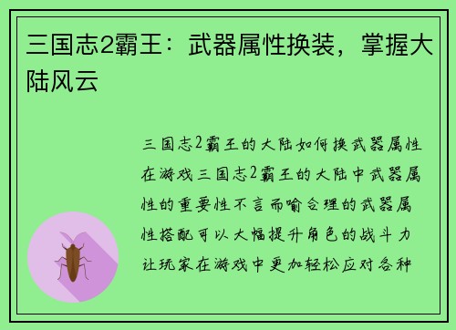 三国志2霸王：武器属性换装，掌握大陆风云