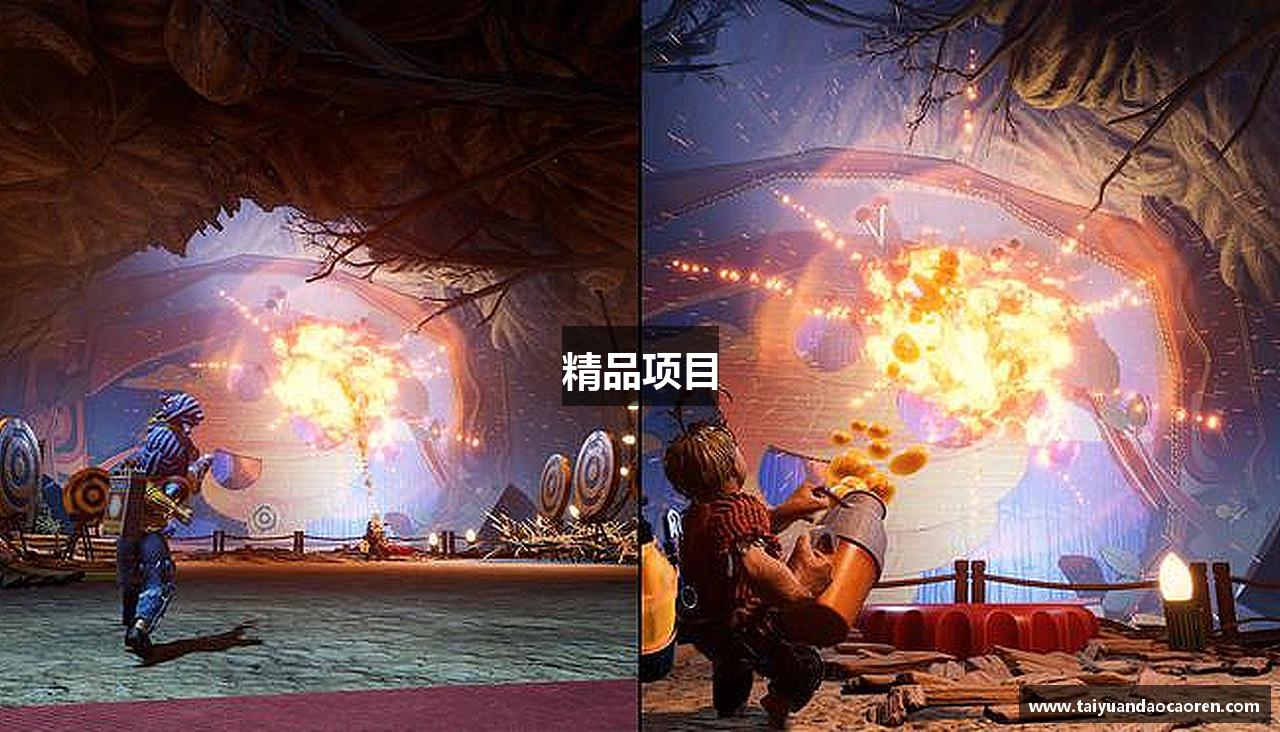 精品项目
